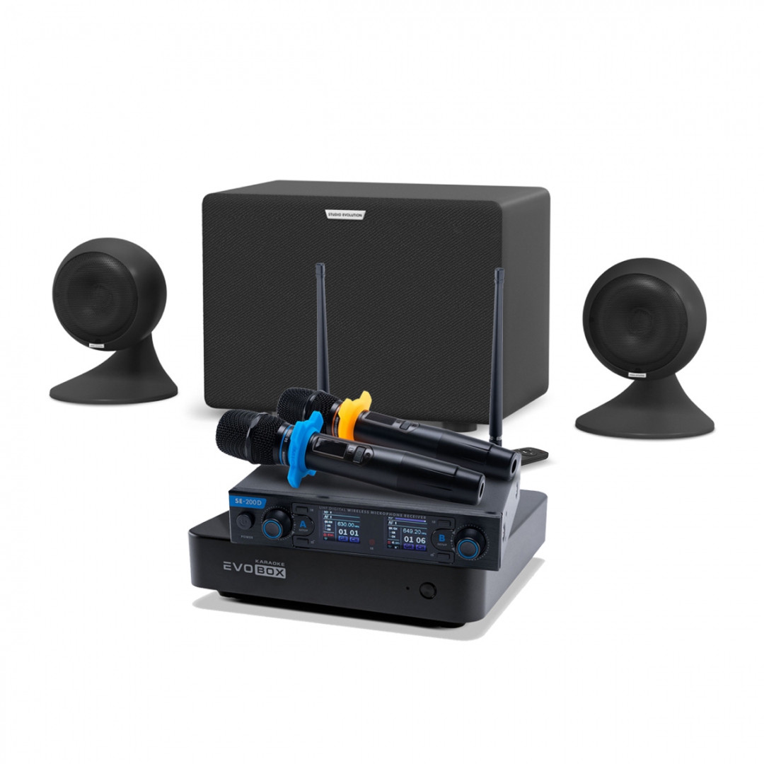 караоке-комплект EVOBOX + EvoSound Sphere 2.1 в Нальчике