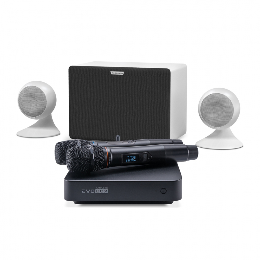 караоке-комплект EVOBOX Classic + EvoSound Sphere 2.1 в Нальчике