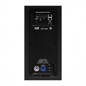 Активная акустическая система AST-310A в Нальчике