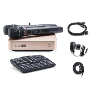 EVOBOX Classic караоке-система для дома в Нальчике